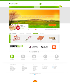 網(wǎng)頁與網(wǎng)站設(shè)計 構(gòu)建數(shù)字世界的藝術(shù)與科學